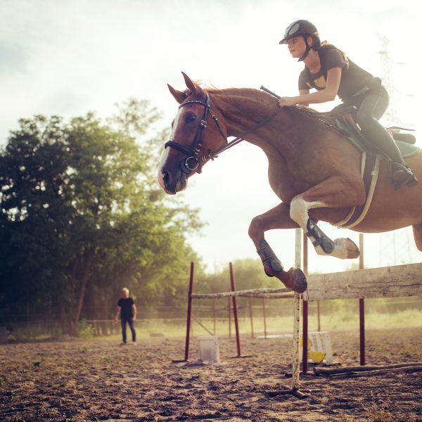 calcium pour chevaux