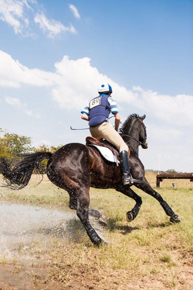 vitamines pour chevaux vitamines, chevaux