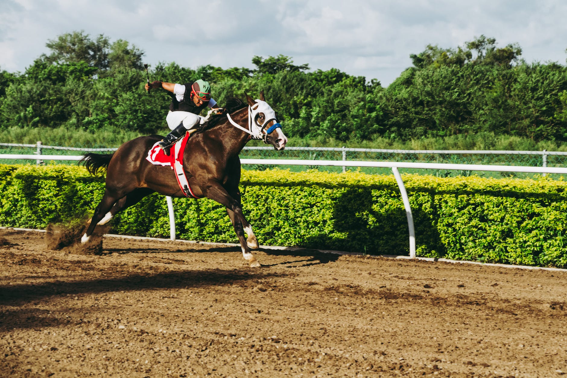 Scarica Gratis Images Les Meilleurs Sites D Equipement Pour Jockey Driver Elytholab dernière salutations